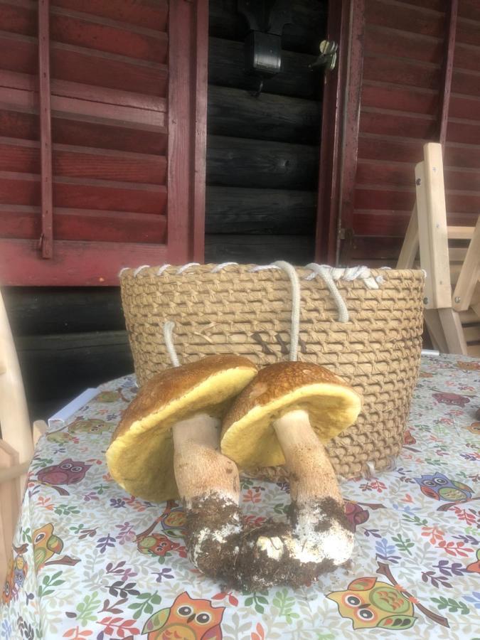 Tilia Cottage Banjska Stena Mitrovac Eksteriør bilde