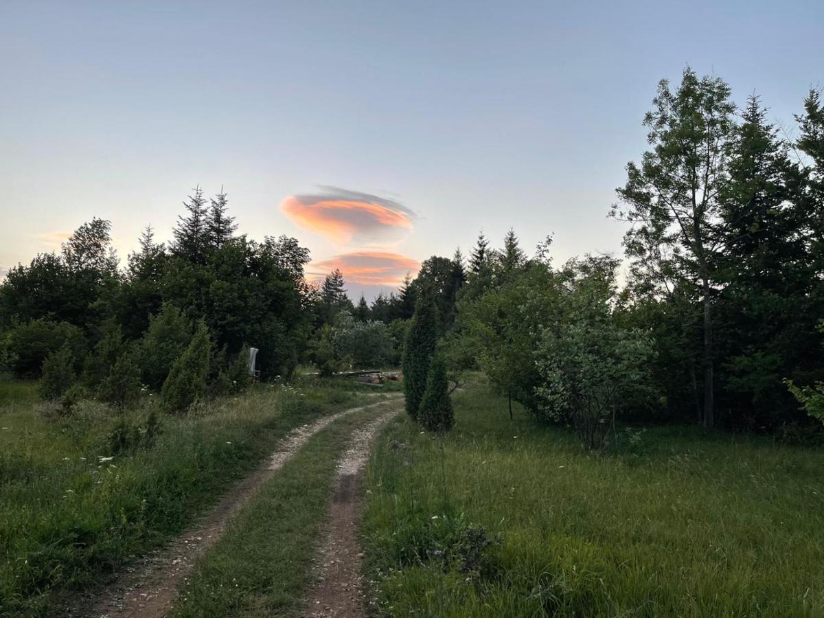 Tilia Cottage Banjska Stena Mitrovac Eksteriør bilde