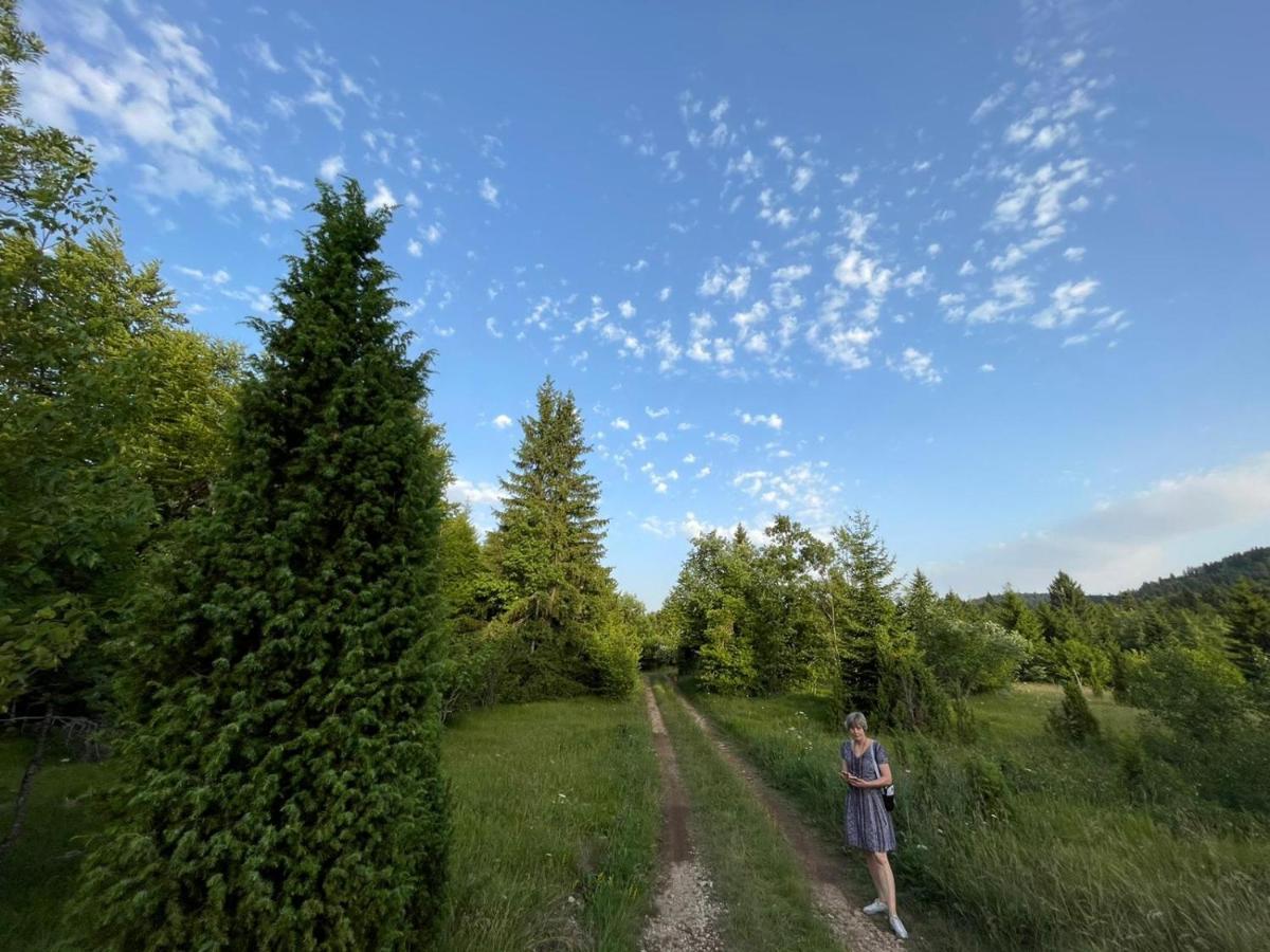 Tilia Cottage Banjska Stena Mitrovac Eksteriør bilde